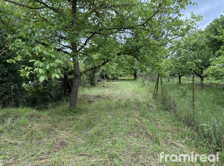 Prodej - pozemek, zahrada, 907 m²