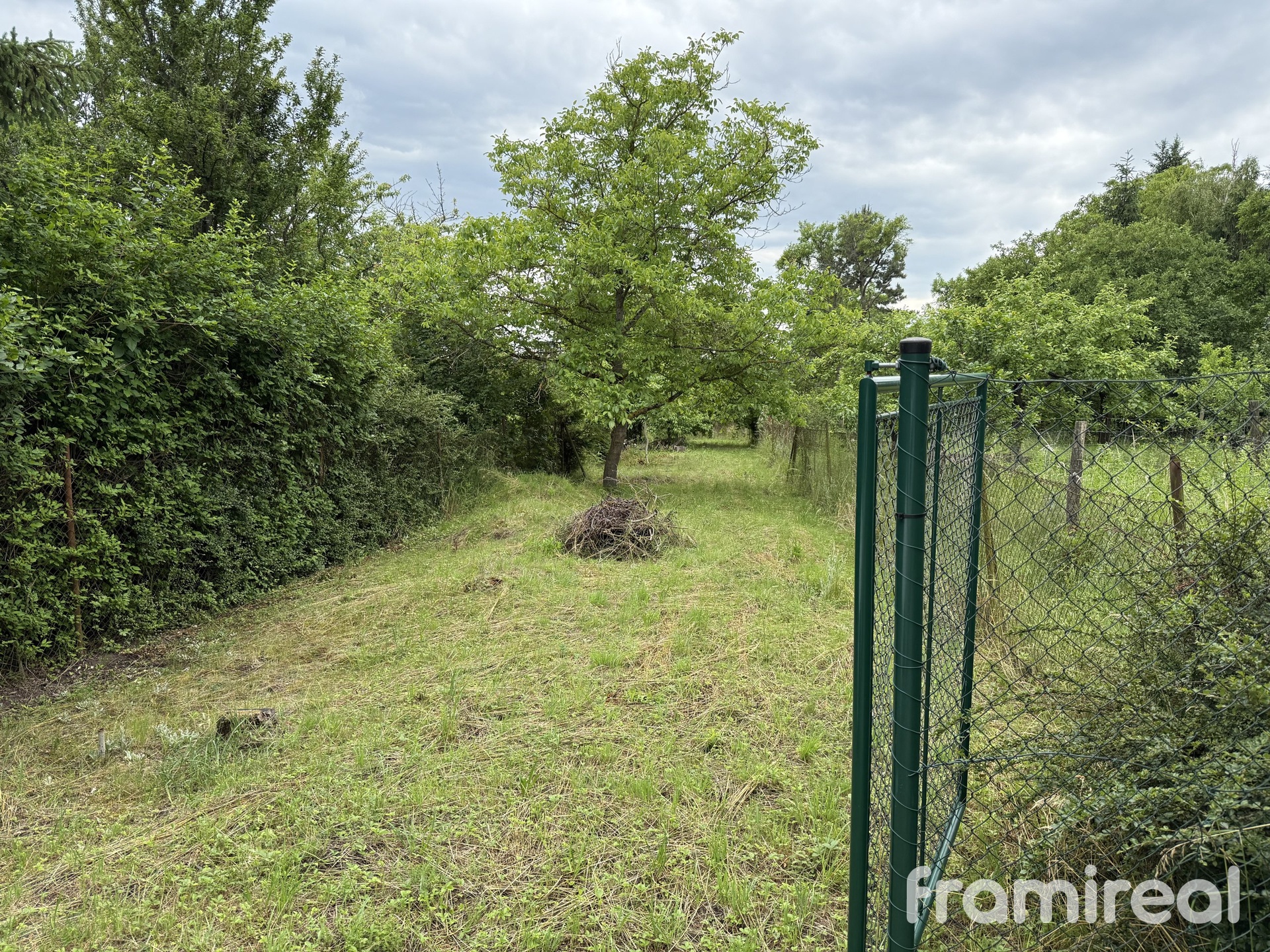 Photo 07.06.2025, 16 28 30