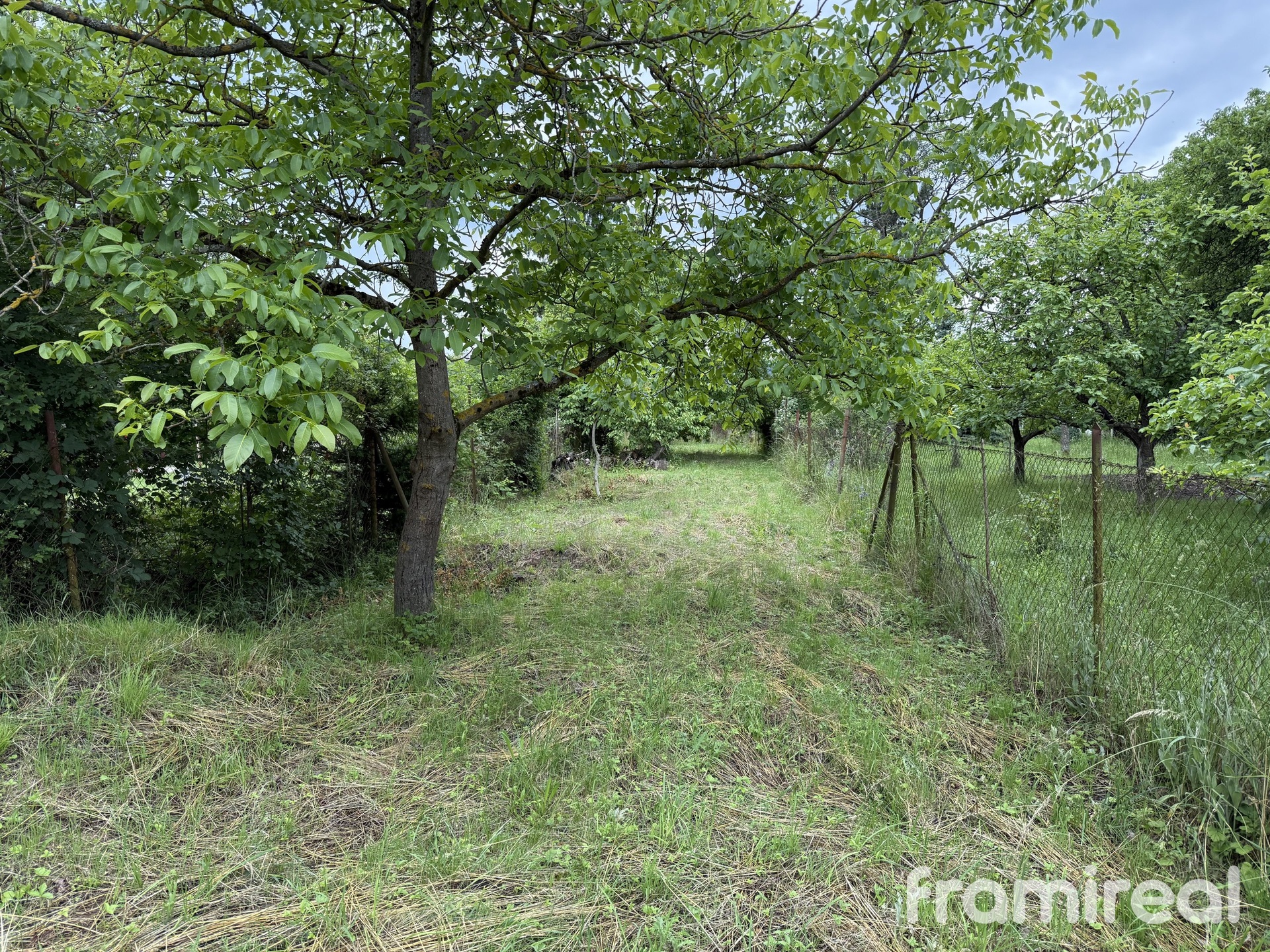 Photo 07.06.2025, 16 28 53