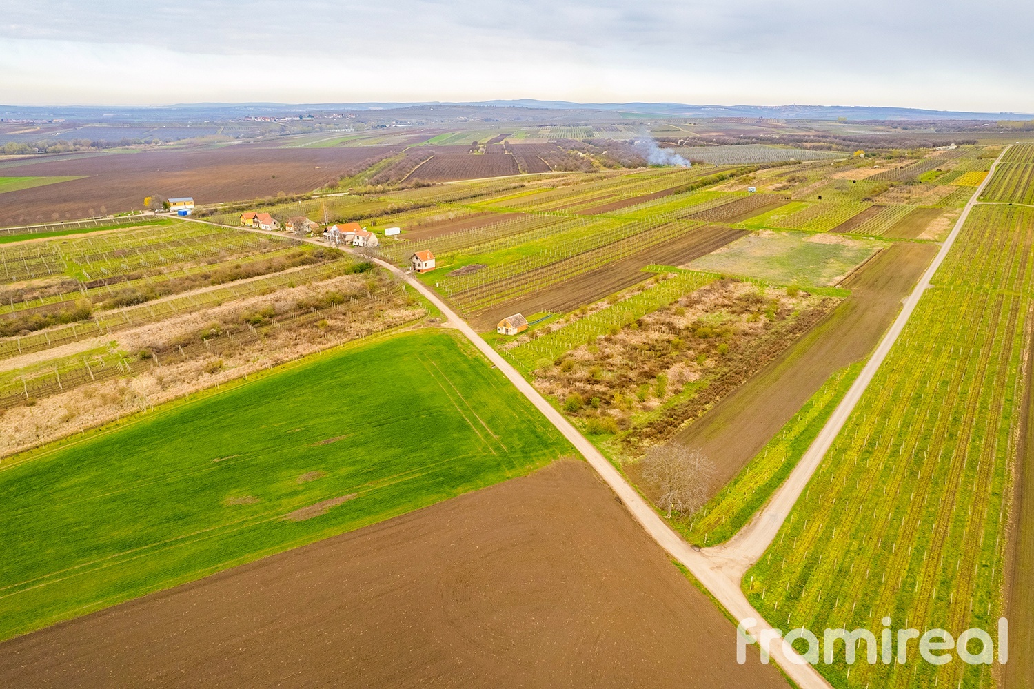 fotopozemekmorvaskyzizkov (12)