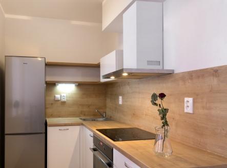 Pronájem bytu, 1+kk, 46 m²