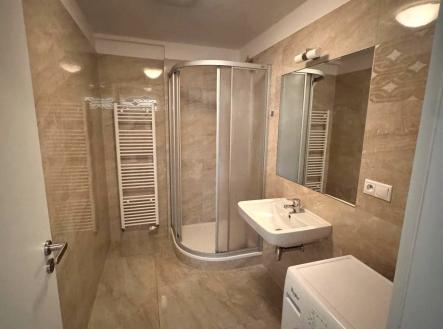 Pronájem bytu, 1+kk, 46 m²