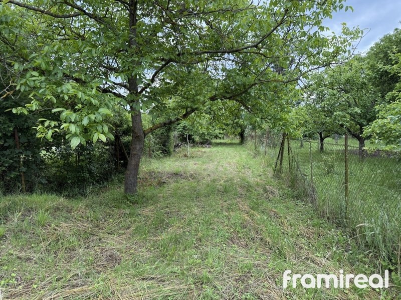 800x800wm1912170947-f682c-prodej-zahrady-907-m2-brno-obrany-photo-07-06-2025-16-28-53-fb4c695bfc-171