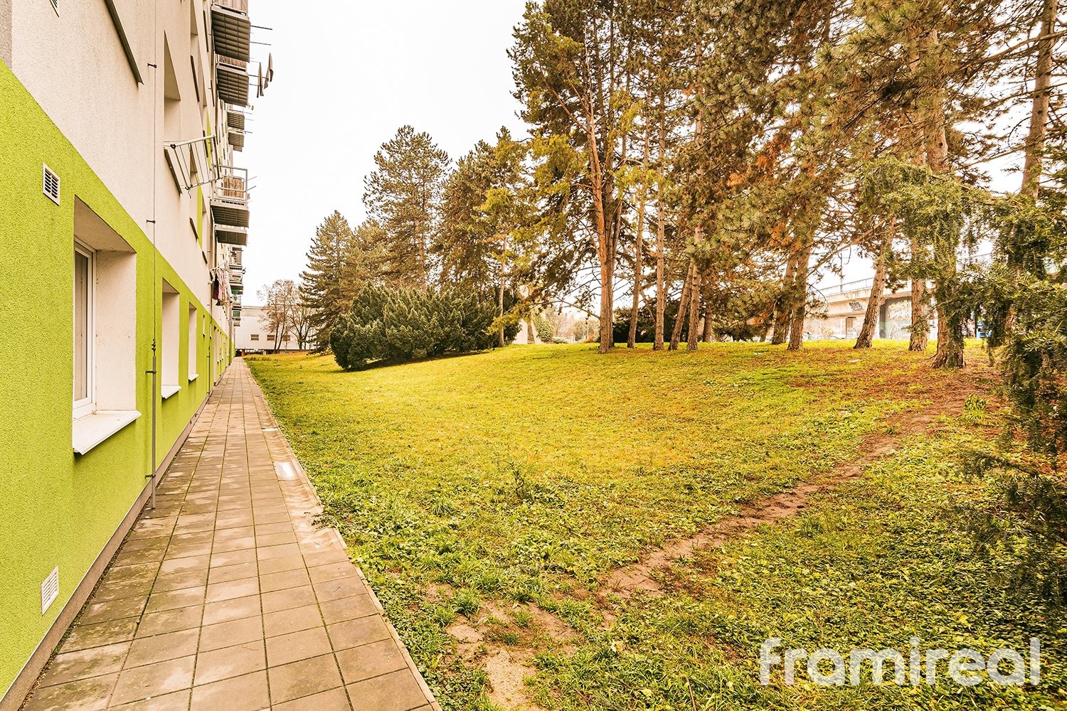 fotobytrenneskatr (11)