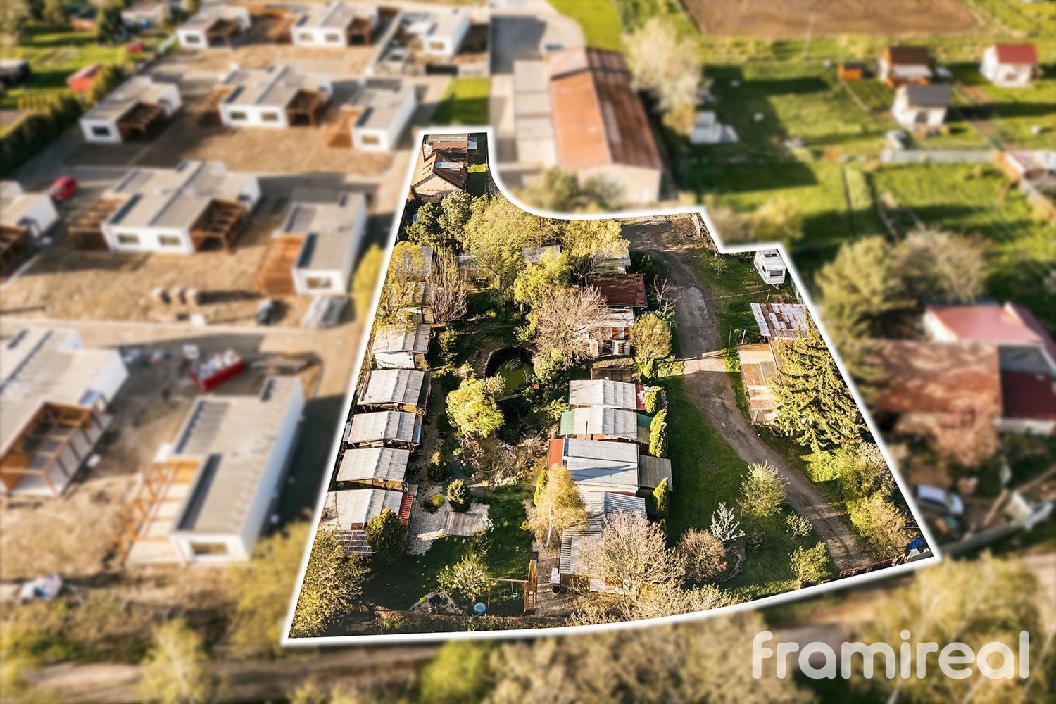 fotopozmekstrachotin (2)