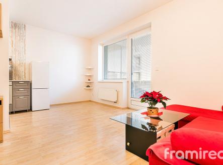 Pronájem bytu, 1+kk, 40 m²