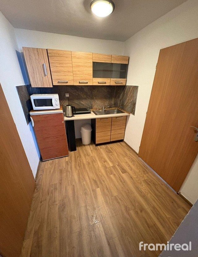 Pronájem bytu 1+kk 33 m², Brno-Jundrov