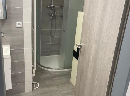 Pronájem bytu, 1+kk, 20 m²