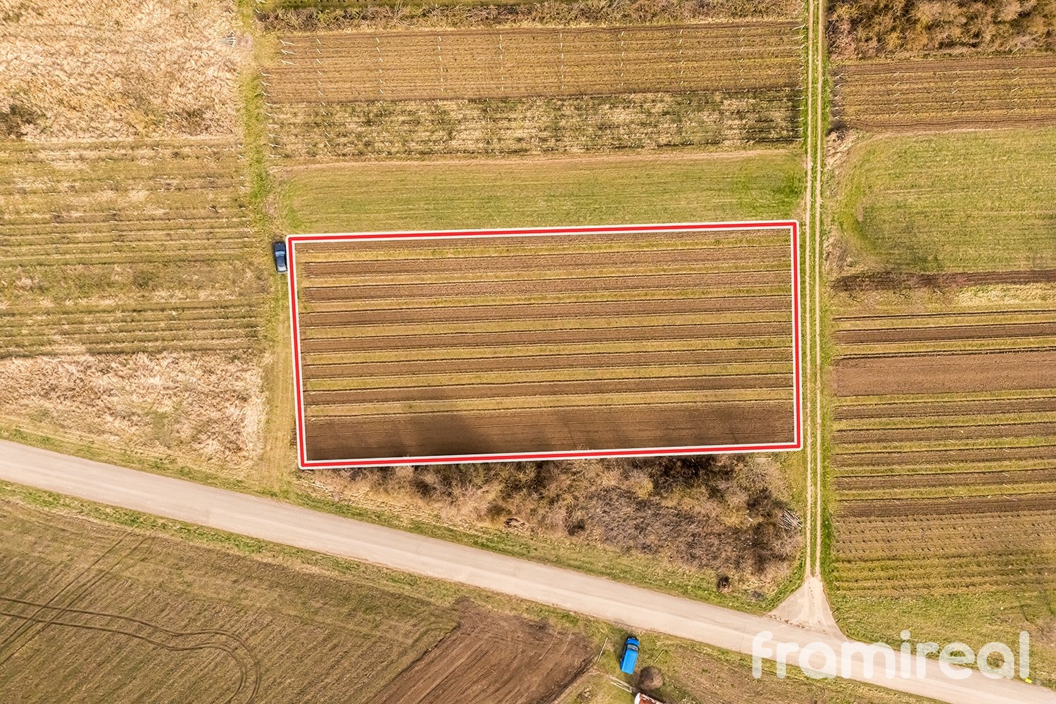 fotopozemkymoravskyzizkov (10)