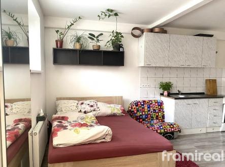 Pronájem bytu, 1+kk, 23 m²