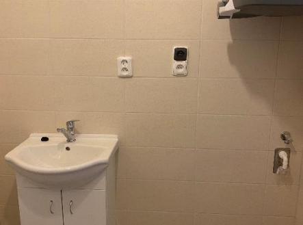 Pronájem bytu, 1+kk, 23 m²