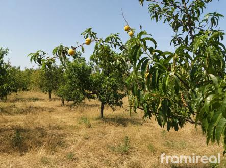 Prodej pozemku, ostatní, 39 298 m²