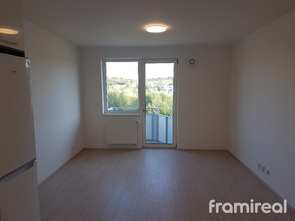 Pronájem bytu 1+kk 34 m², Brno - Ponava