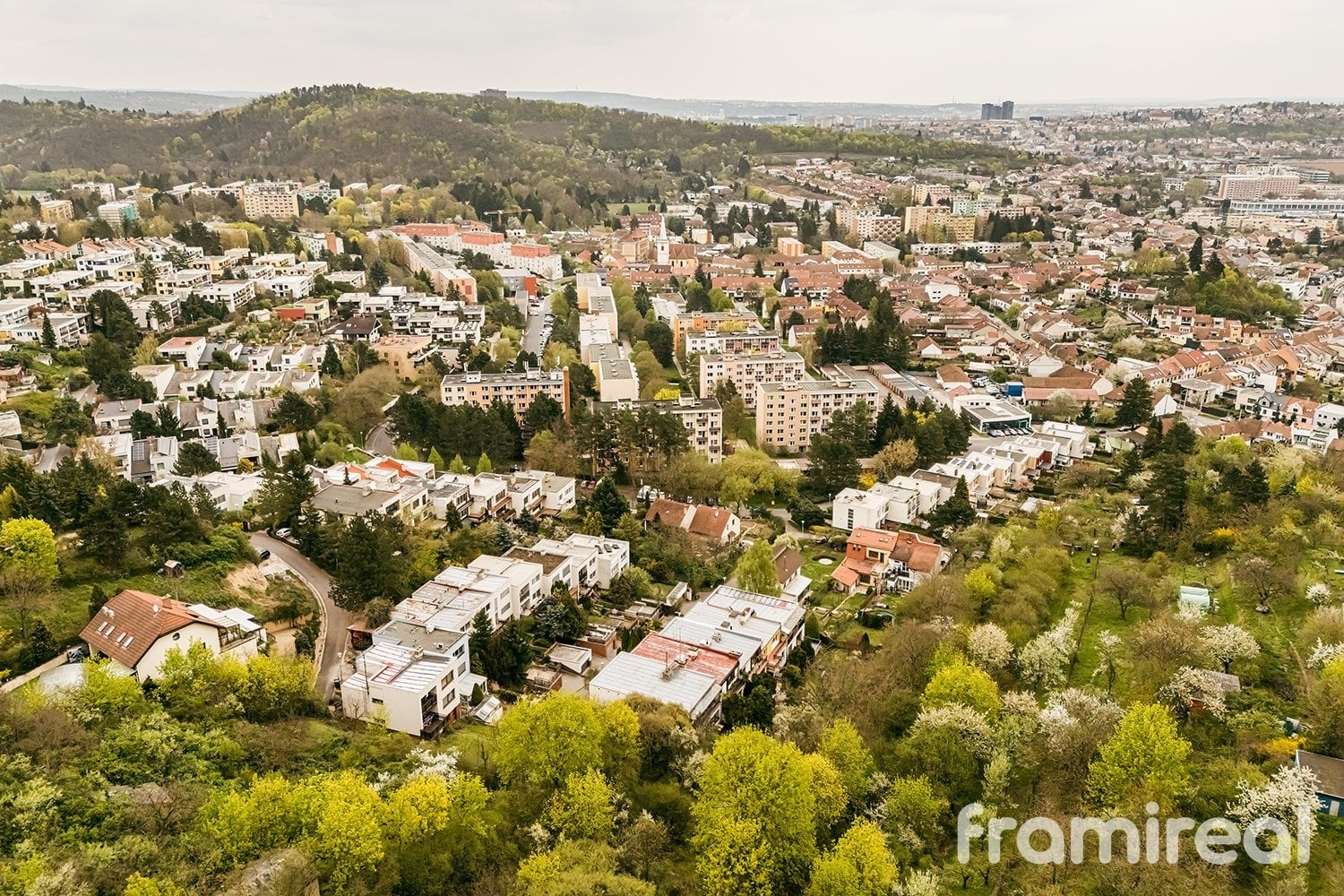 fotordkomin (2)