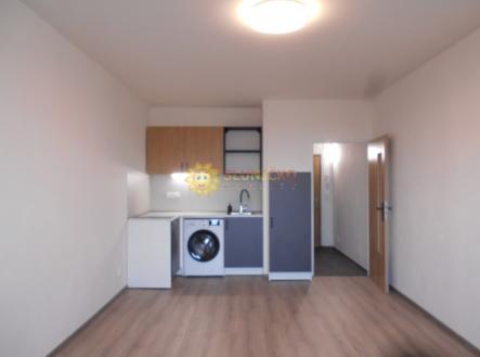 Pronájem bytu, 1+kk, 27 m²