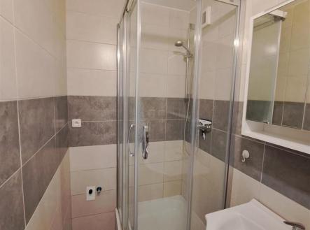 Pronájem bytu, 2+1, 39 m²
