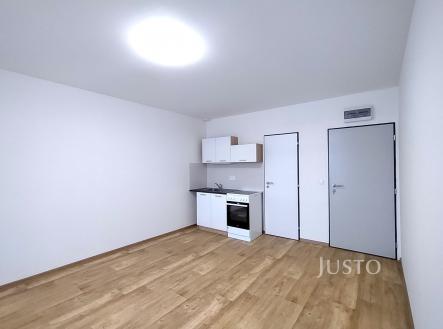 Pronájem bytu, 1+kk, 20 m²