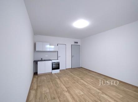 Pronájem bytu, 1+kk, 20 m²