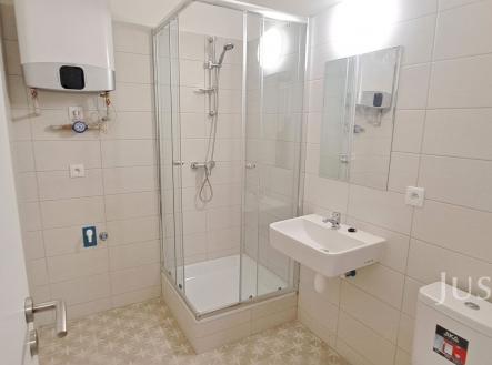 Pronájem bytu, 1+kk, 29 m²