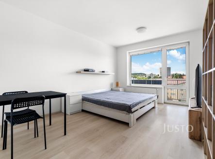 Prodej bytu, 1+kk, 45 m²