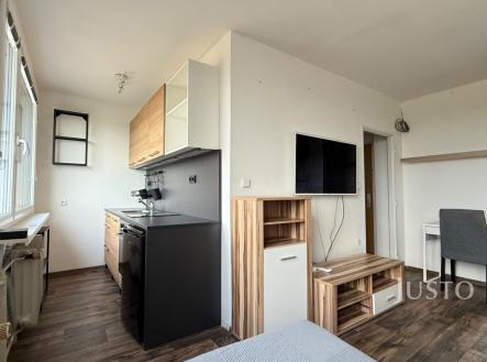 Pronájem bytu, 1+kk, 25 m²