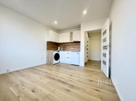 Pronájem bytu, 1+kk, 19 m²