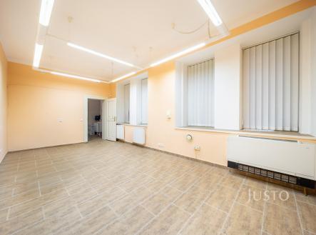 Prodej obchodní prostor, 301 m²