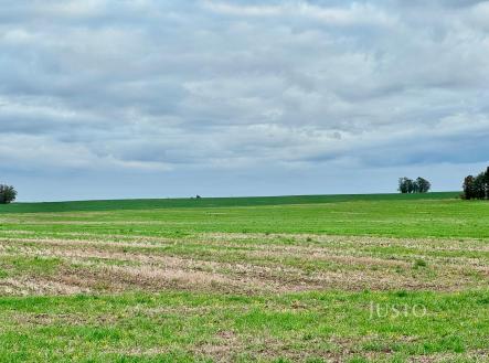 Prodej pozemku, zemědělská půda, 7 167 m²