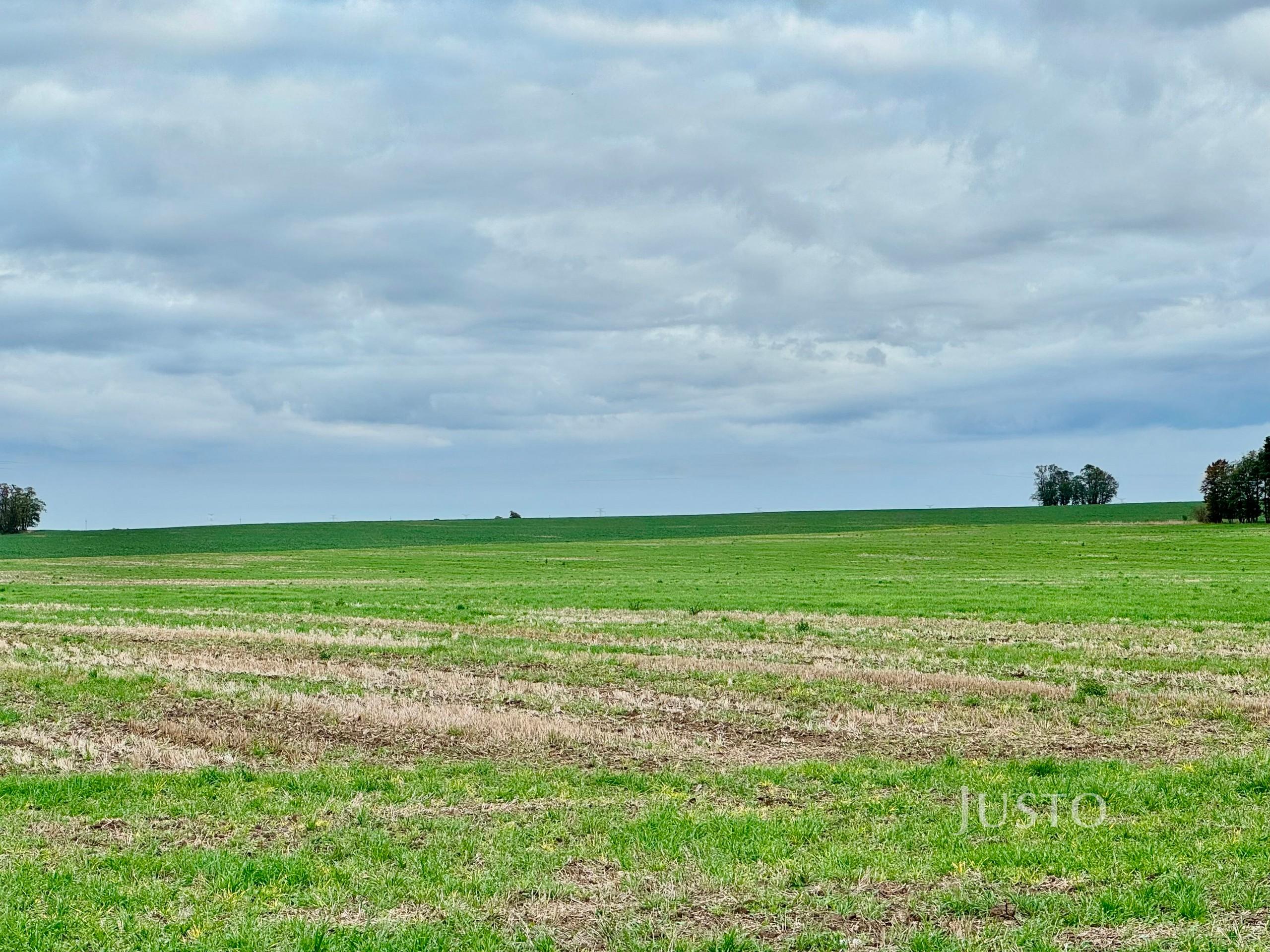 Prodej pole 7167 m²