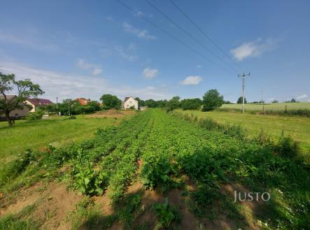 Prodej pozemku pro bydlení, 2 918 m²