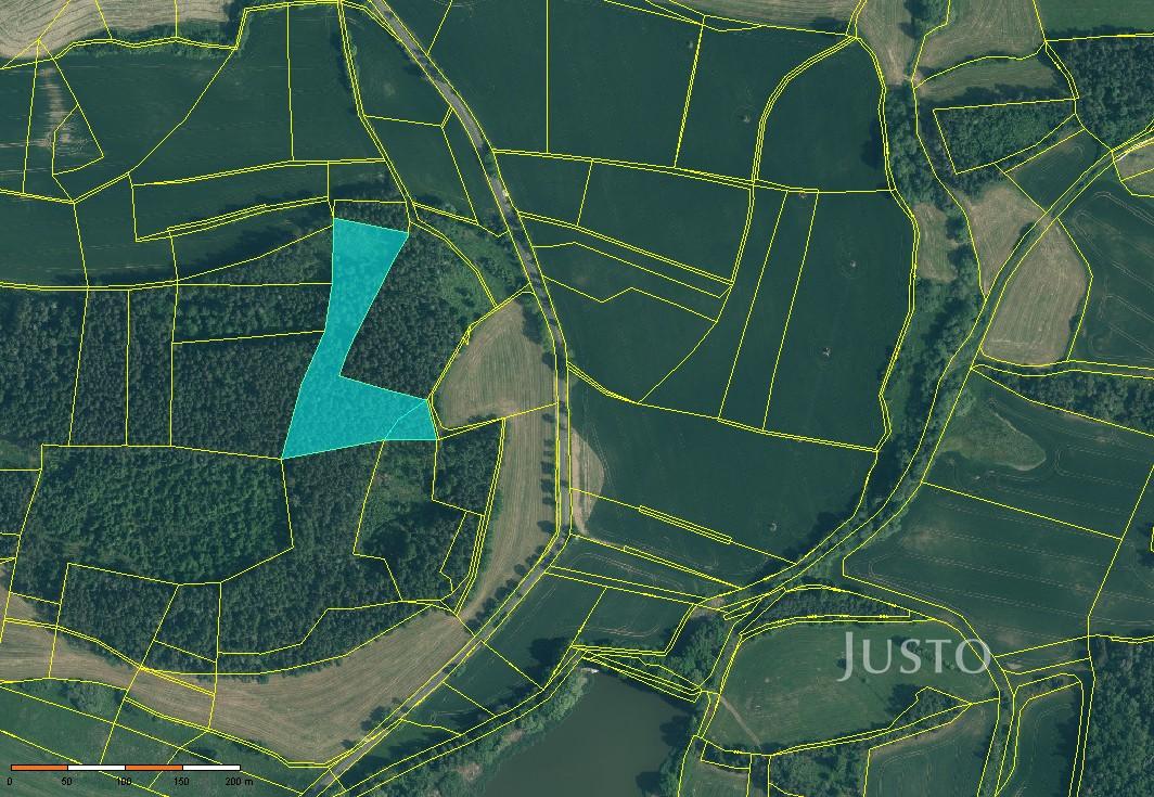 Prodej lesa 11833 m²