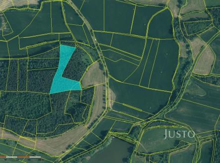 Prodej pozemku, les, 11 833 m²