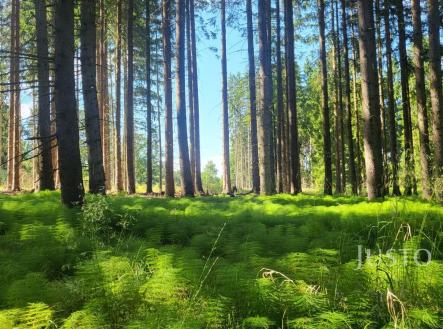 Prodej pozemku, les, 11 833 m²