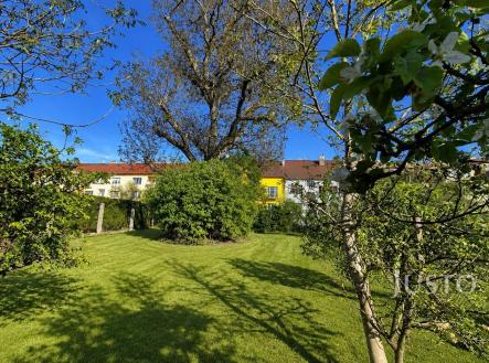 Prodej domu/vily, 454 m²