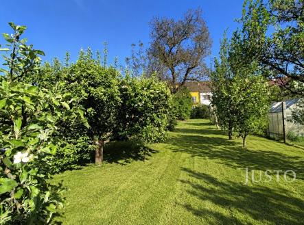 Prodej domu/vily, 454 m²
