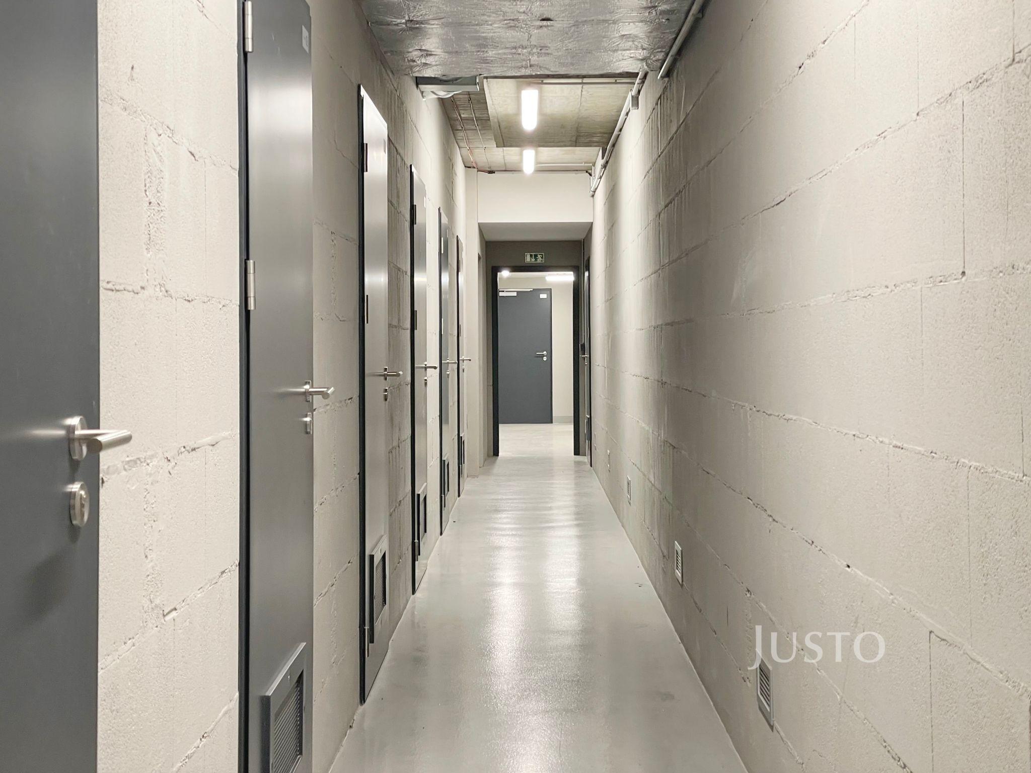 Fotku se nepodařilo načíst.