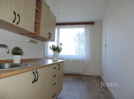 Pronájem bytu, 1+1, 43 m²