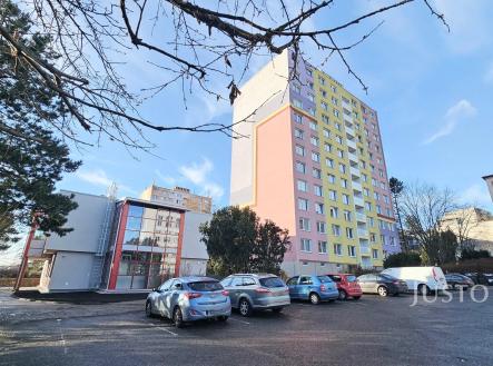 Pronájem bytu, 1+1, 43 m²