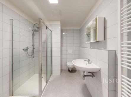 Pronájem bytu, 1+kk, 44 m²