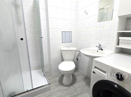 Pronájem bytu, 2+1, 53 m²