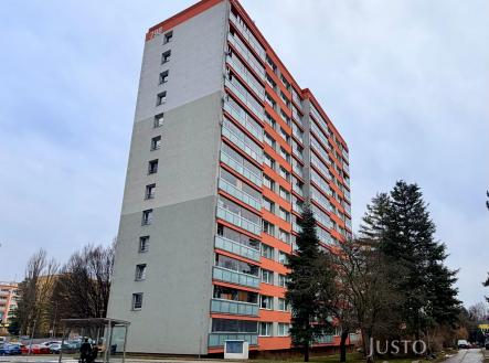 Prodej bytu, 1+1, 24 m²