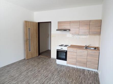 Pronájem bytu, 1+kk, 20 m²