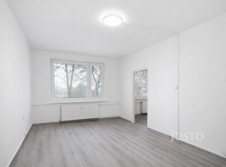 Pronájem bytu, 1+1, 46 m²