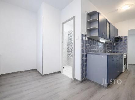 Pronájem bytu, 1+1, 46 m²