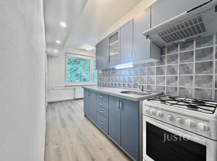 Pronájem bytu, 1+1, 46 m²