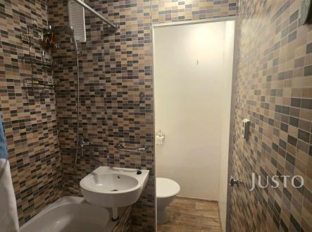 Pronájem bytu, 1+kk, 20 m²