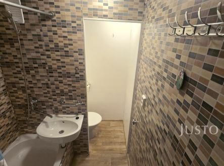 Pronájem bytu, 1+kk, 20 m²