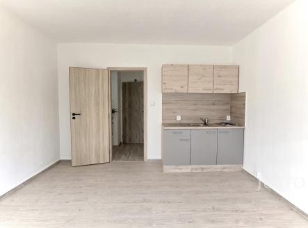 Pronájem bytu, 1+kk, 23 m²