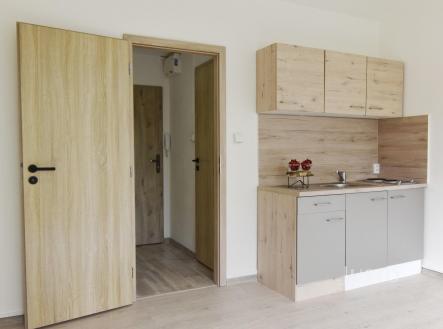 Pronájem bytu, 1+kk, 23 m²