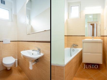 Pronájem bytu, 1+kk, 43 m²